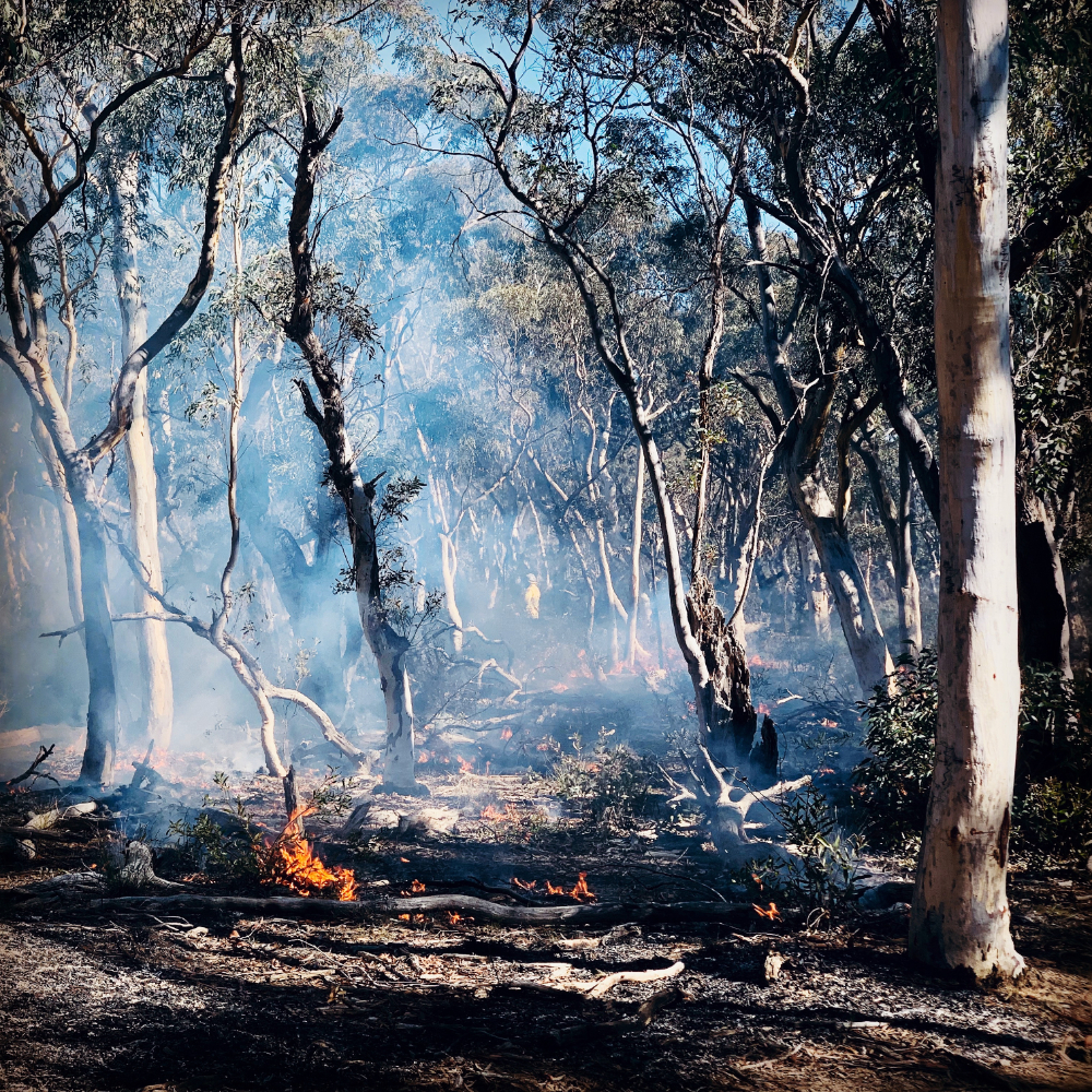 Prepare for Bushfires